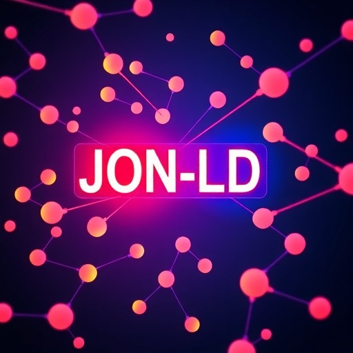 JSON-LD Implementation：打造结构化数据的最佳实践指南